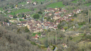 Enlèvement arbre urgence Couëron